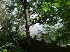 -北京鹫峰国家森林公园