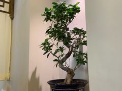 -钰田大院·怀柔地道农家菜·烤虹鳟鱼(雁栖湖店)