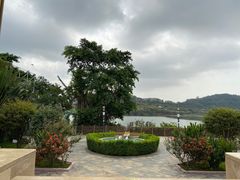 -立新湖公园