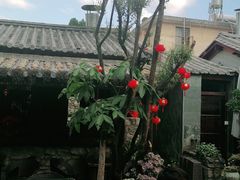 -尽善百年古院餐厅(王家老宅店)