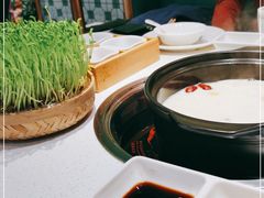 -粤小煲鲜汤猪肚鸡(丹尼斯二天地店)
