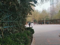 -庄怡公园