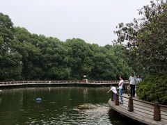 -荆川公园
