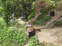 -宁波野生动物园