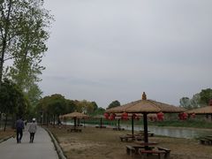 -合肥滨湖国家森林公园