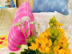 -蓝莓果幼儿园(通州梨园店)