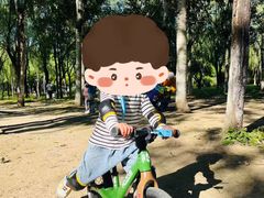 -北京梧桐树双语幼儿园