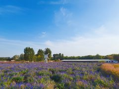 -北京东方普罗旺斯薰衣草庄园