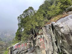 -泰山风景名胜区