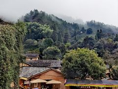 -杨家堂村