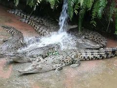 -海南热带野生动植物园