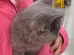 -宠福鑫康馨动物医院·骨科·眼科