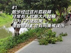 -长洲岛