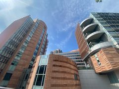 -香港大学