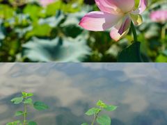-石舍洒秀咖啡馆