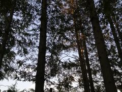 -汇泉广场