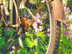 -金逸影城(中关村店)