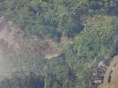 -亚龙湾热带天堂森林公园