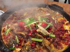 -老板恋上鱼(恒隆广场店)