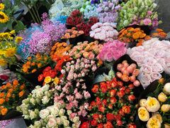 -双季花艺园艺市场(浦东店)