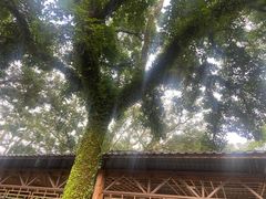 -海口火山口国家地质公园