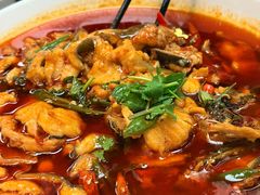 -陈麻婆豆腐(旗舰店)