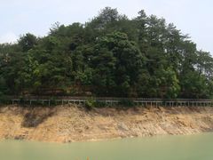 DSC03487-广州市流溪河国家森林公园