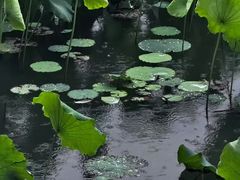 -后海公园