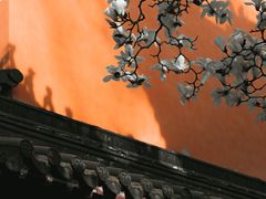 -灵谷景区