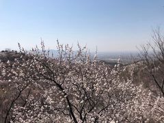 -白河堡水库