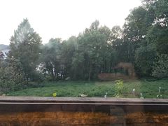 -野蔓果·山野菜(西湖景区·龙井茶田店)