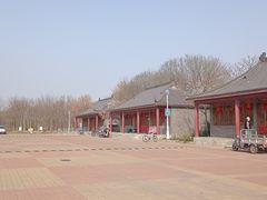 -大港湿地公园