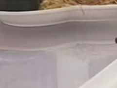 -广州科尔海悦酒店