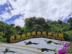 -西双版纳原始森林公园
