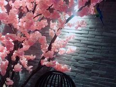 -尚橙歌坊主题式KTV(恒大商业广场店)
