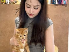 -楼上猫咖(罗湖店)