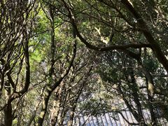 -珞珈山-售票处