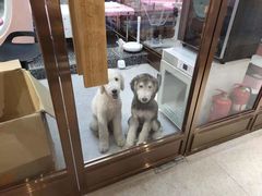 -FAELING PETS美天灵宠物(富力广场店)