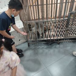 -Moni星球萌宠·小马宝莉·灵蛇·高端高阶全萌宠互动体验俱乐部(红豆国际广场店)