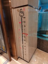 -喜爱轩酒楼·宴会厅