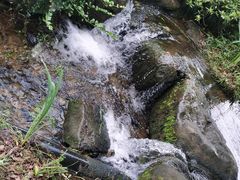 -中国茶叶博物馆(双峰馆区)