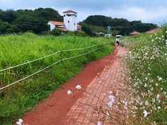 -济州森林小火车生态公园