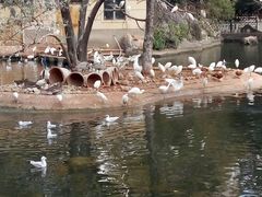 -昆明动物园