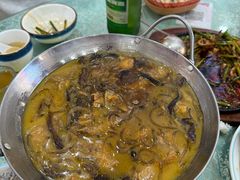 -鹤乡东北菜(崮山路店)