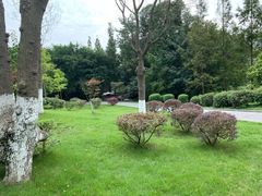 -府河摄影公园