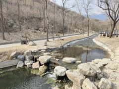 -白水寺森林公园