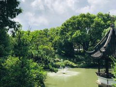 -上海醉白池公园