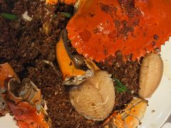 -喜记避风塘炒辣蟹(旗舰店)