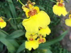 -南通洲际绿博园