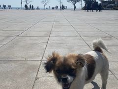 -傅家庄公园